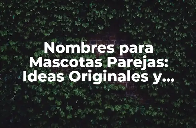 Nombres para Mascotas Parejas: Ideas Originales y Divertidas para Tu Dúo Felino o Canino