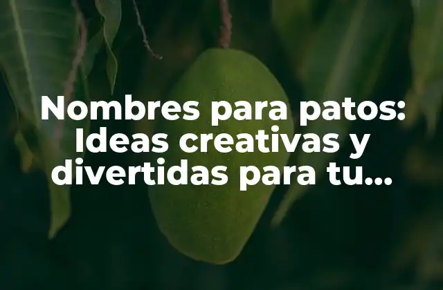Nombres para Patos: Ideas Creativas y Divertidas para Tu Amigo Anfibio