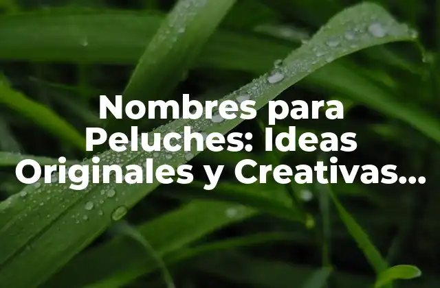 Nombres para Peluches: Ideas Originales y Creativas para Tu Amigo de Plush