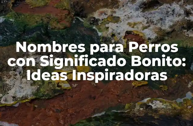 Nombres para Perros con Significado Bonito: Ideas Inspiradoras