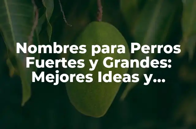 Nombres para Perros Fuertes y Grandes: Mejores Ideas y Sugerencias