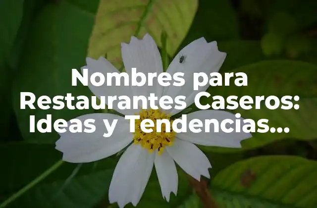 Nombres para Restaurantes Caseros: Ideas y Tendencias para Tu Negocio
