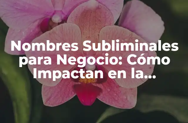 Nombres Subliminales para Negocio: Cómo Impactan en la Percepción de la Marca