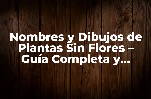 Nombres y Dibujos de Plantas sin Flores – Guía Completa y Detallada