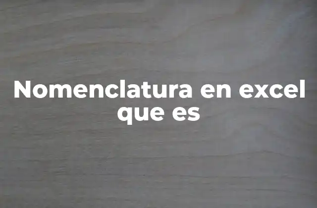 Cómo se estructura el sistema de identificación en Excel