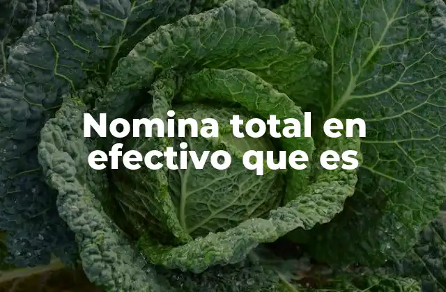 Nomina Total en Efectivo que es