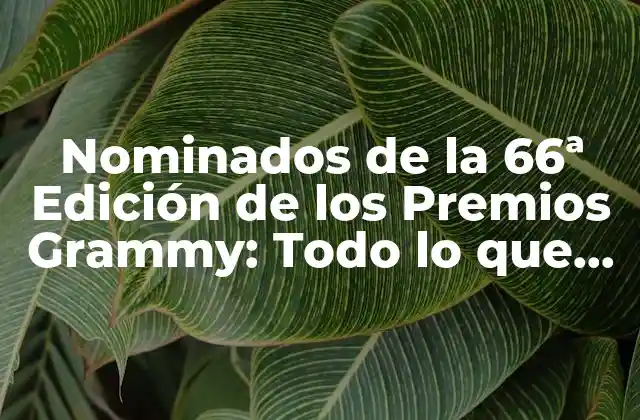 Nominados de la 66ª Edición de los Premios Grammy: Todo Lo que Necesitas Saber