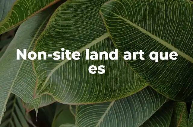 Non-site Land Art que es