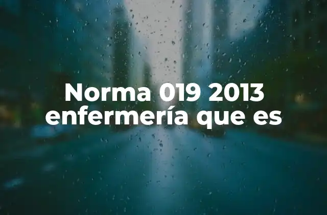Norma 019 2013 Enfermería que es