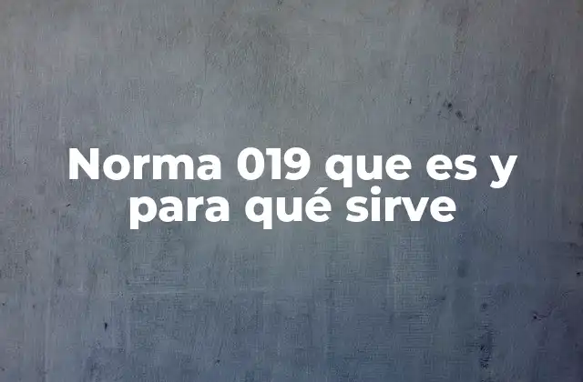 Norma 019 que es y para Qué Sirve
