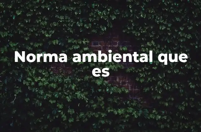 Norma Ambiental que es