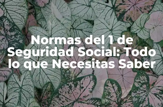Normas Del 1 de Seguridad Social: Todo Lo que Necesitas Saber