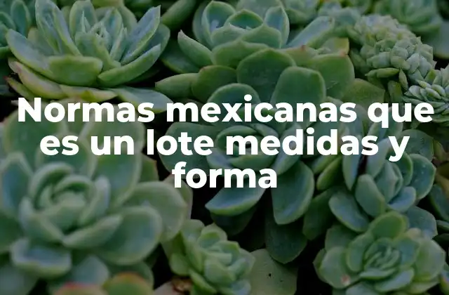 Normas Mexicanas que es un Lote Medidas y Forma
