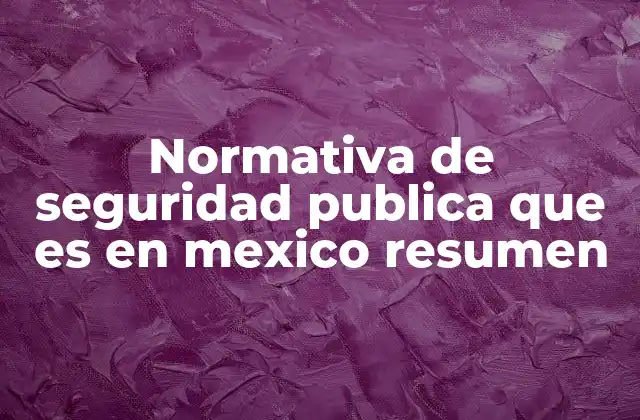 Normativa de Seguridad Publica que es en Mexico Resumen