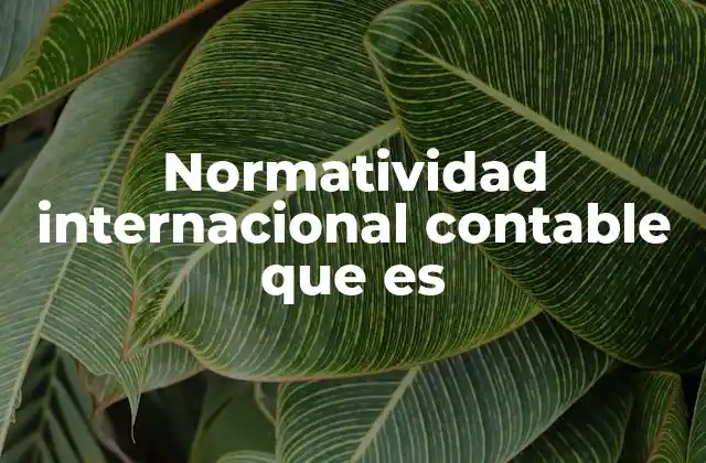 Normatividad Internacional Contable que es