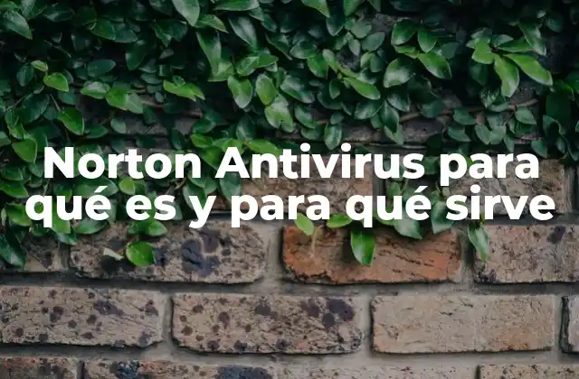 Norton Antivirus para Qué es y para Qué Sirve
