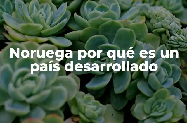 Noruega por Qué es un País Desarrollado 2 El secreto detrás del éxito noruego