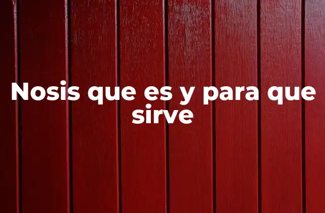 Nosis que es y para que Sirve