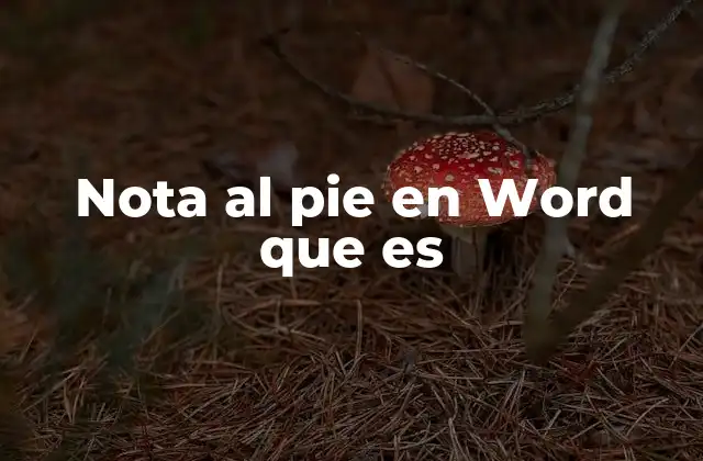 Nota Al Pie en Word que es