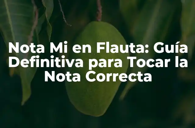 ¿Qué es la Nota Mi en la Flauta?