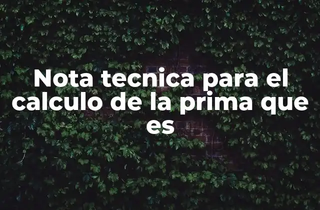 Nota Tecnica para el Calculo de la Prima que es