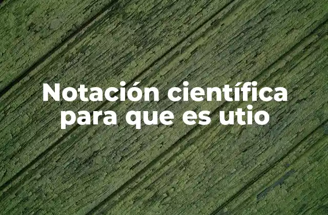 Notación Científica para que es Utio