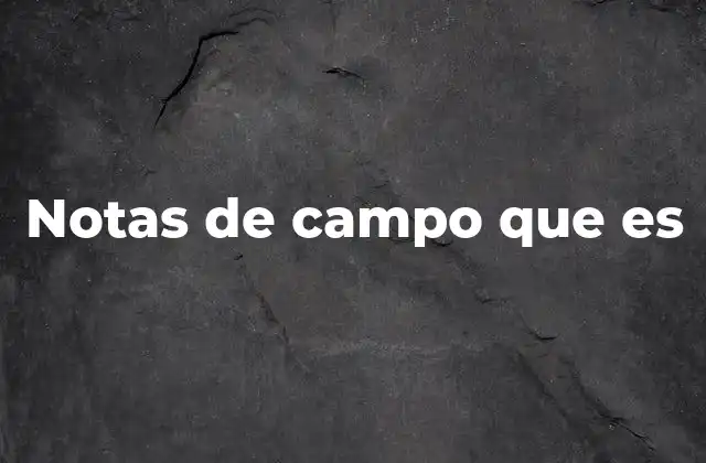 Notas de Campo que es