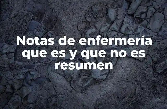 Notas de Enfermería que es y que No es Resumen