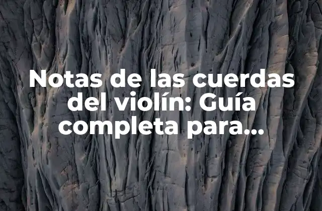 Notas de las Cuerdas Del Violín: Guía Completa para Principiantes 2 ¿Cuáles son las cuerdas del violín?