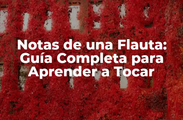 Notas de una Flauta: Guía Completa para Aprender a Tocar