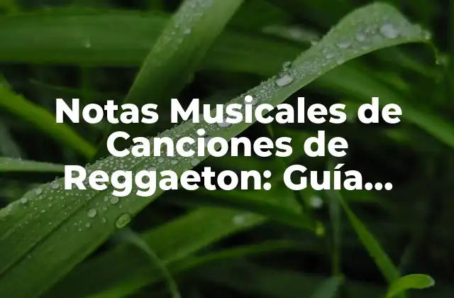 Notas Musicales de Canciones de Reggaeton: Guía Completa para Aprender