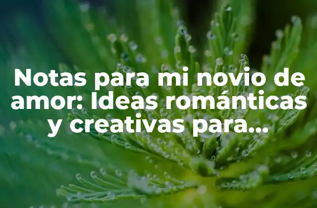 Notas para Mi Novio de Amor: Ideas Románticas y Creativas para Expresar Tu Afecto