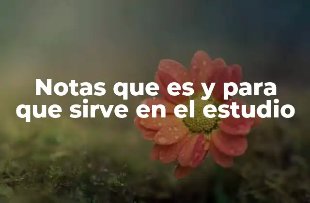 Notas que es y para que Sirve en el Estudio 2 La importancia de las notas en la organización del aprendizaje