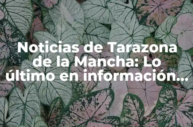 Noticias de Tarazona de la Mancha: Lo Último en Información y Actualidad