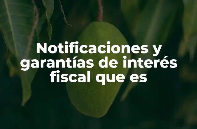 Notificaciones y Garantías de Interés Fiscal que es