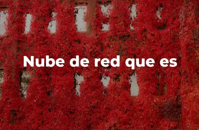 Nube de Red que es