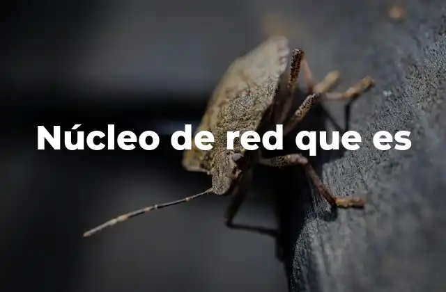 Núcleo de Red que es