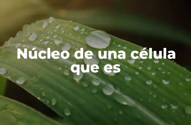 Núcleo de una Célula que es