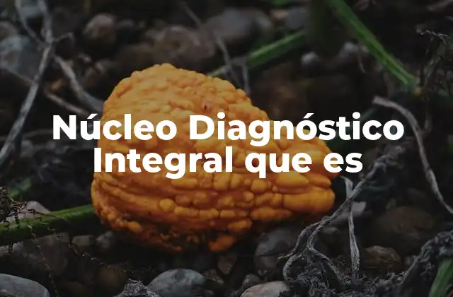 Núcleo Diagnóstico Integral que es