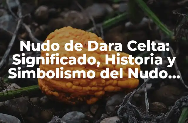 Nudo de Dara Celta: Significado, Historia y Simbolismo Del Nudo Celta Más Popular