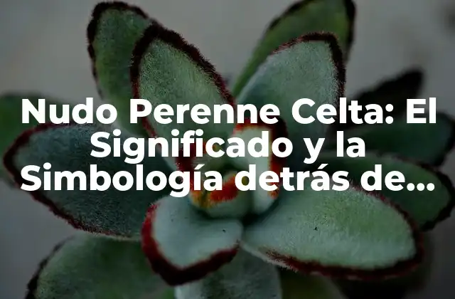 Nudo Perenne Celta: el Significado y la Simbología Detrás de Este Antiguo Símbolo