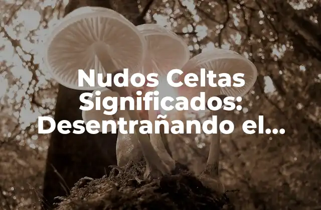 Nudos Celtas Significados: Desentrañando el Misterio de los Nudos Celtas