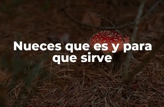 Nueces que es y para que Sirve