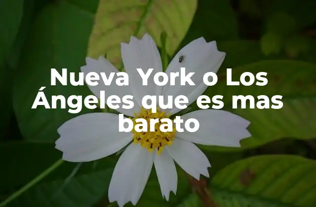 Nueva York o los Ángeles que es mas Barato