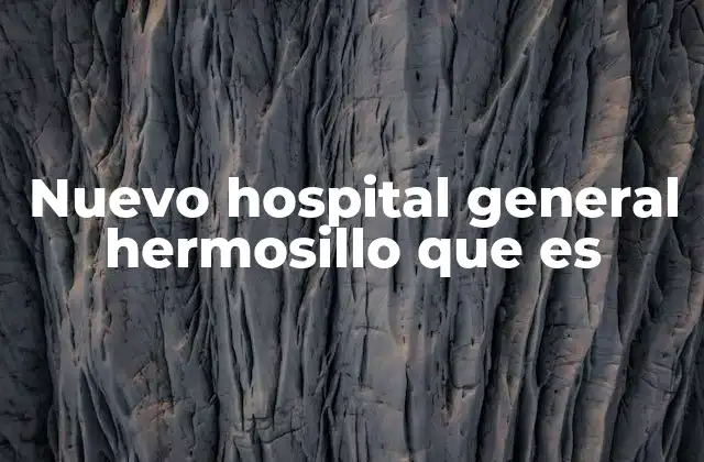 Nuevo Hospital General Hermosillo que es