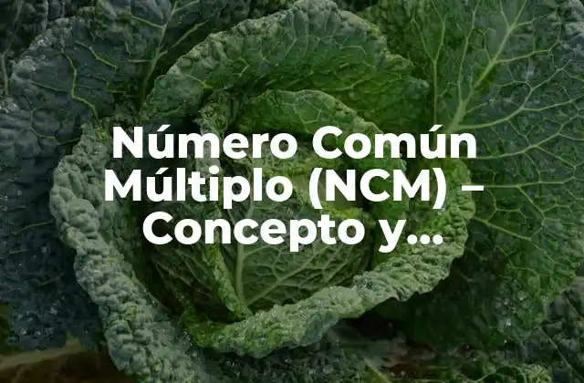Número Común Múltiplo (ncm) – Concepto y Aplicaciones Matemáticas