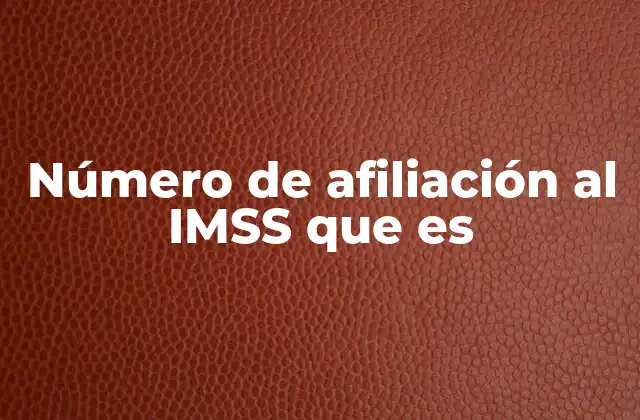 Número de Afiliación Al Imss que es