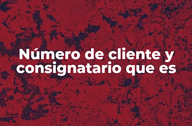 Número de Cliente y Consignatario que es