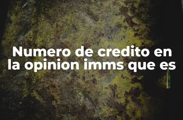 Numero de Credito en la Opinion Imms que es