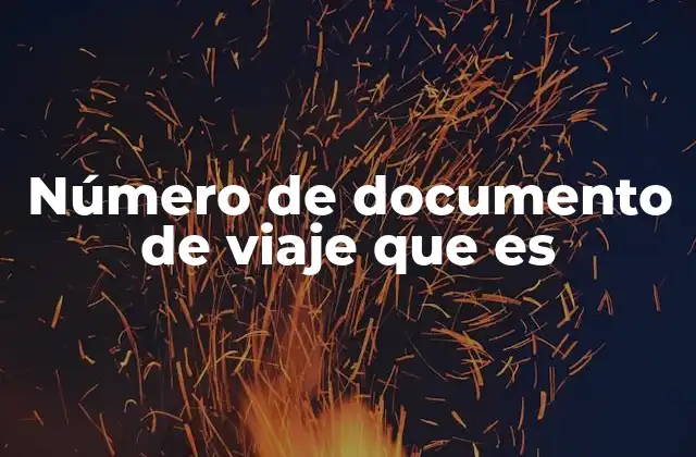 La importancia de la identificación en los viajes internacionales